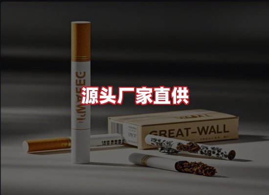 专业团队